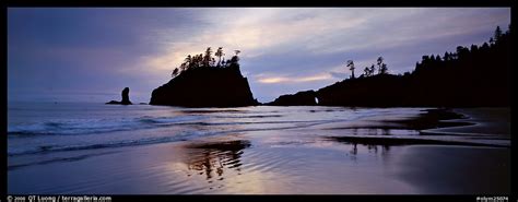 Top 100 Olympic National Park Wallpaper Work Quotes