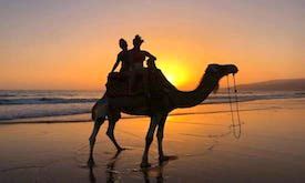 In the 2016 census, surfers paradise had a population of 23,689 people. Admire Morocco Tours - Excursions in Agadir - Things to do ...