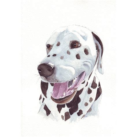 Dalmatian Painting Print Of Watercolor Painting 5 By 7 Print
