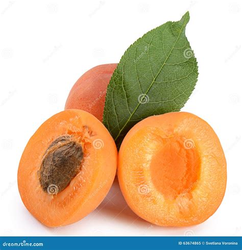 Fresh Apricot With A Leaf Stock Image Image Of Healthy 63674865