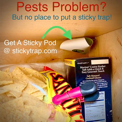 Sticky Traps For Roaches Mice Spiders Buy Happy Cornerz Now Glue
