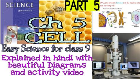 When a living plant cell loses water through osmosis there is shrinkage or contraction of the contents of the cell away from the cell wall. CBSE ncert class 9 science chapter 5 part 5 CELL : NUCLEUS ...