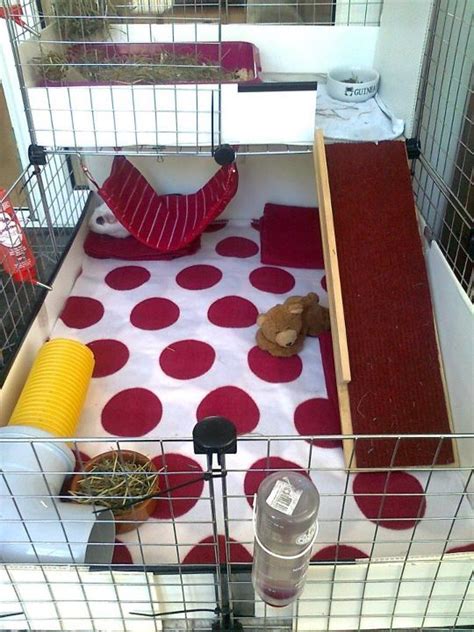 It's very simple to customize the cage to your. c&c cages | Small Animal Stuff | Pinterest | Guinea pigs ...