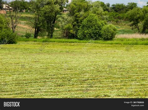 Freshly Mowed Meadow Image And Photo Free Trial Bigstock
