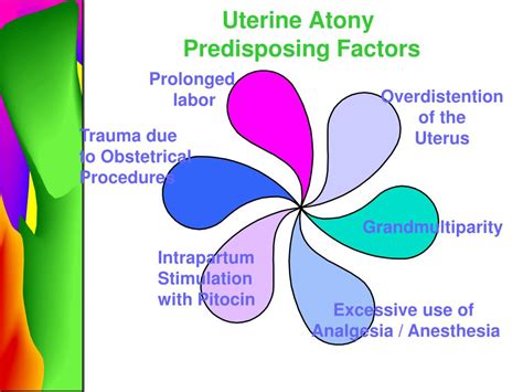 Ppt Complications Of Postpartum Powerpoint Presentation Id 343782