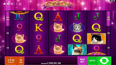 cutie cat slot gamomat review 2024 and demo game