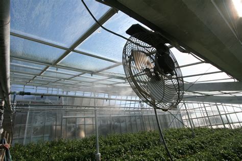 Greenhouse Cooling Systems Mist Cooling Fogging Systems For