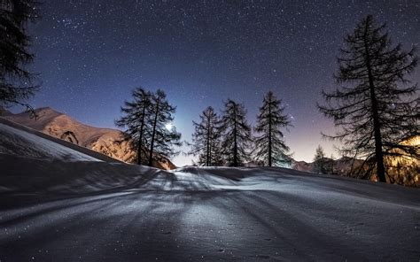 Landscape Snow Winter Trees Stars Night Wallpapers Hd Desktop