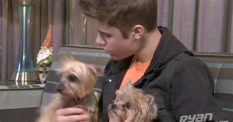 Justin Bieber Stars In Viral Video With Puppies And Babies To Help Ryan