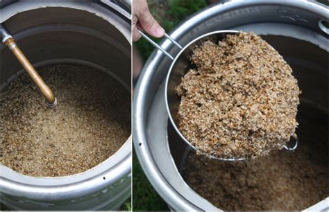 How To Make Spent Beer Grain Dog Treats Recipe 17 Apart