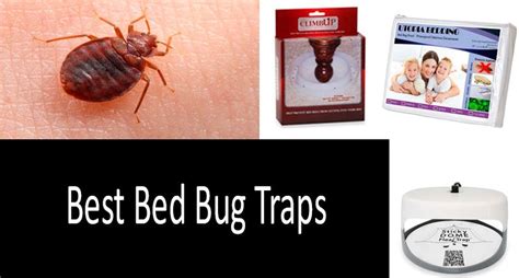 Sold by charmingandlovely and ships from amazon fulfillment. TOP-5 Best Bed Bug Traps UPDATED 2020 Buyer's Guide ...