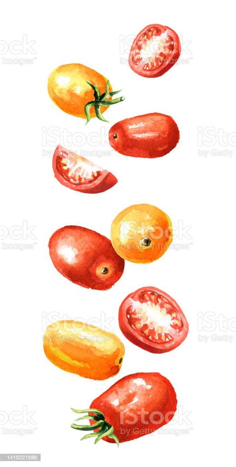 Falling Fresh Ripe Red And Yellow Cherry Tomatoes Hand Drawn Watercolor