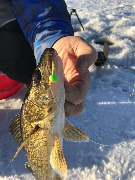 Walleye Challenge Ice Fishing On Great Sacandaga Lake Set For Saturday