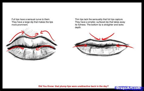 How To Draw Lips Step By Step Mouth People Free Online Drawing