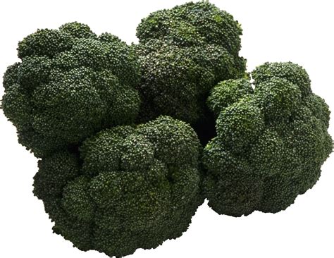 Broccoli Png Image