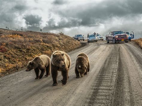 Responsibility for today and tomorrow. 15 Of The Most Incredible Photos From National Geographic