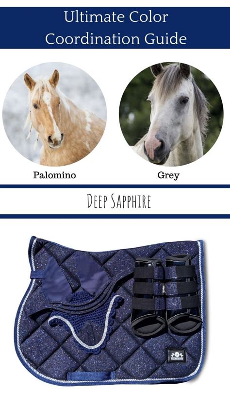 deep sapphire saddle pad set saddle pads horse coat colors jumping saddle pads
