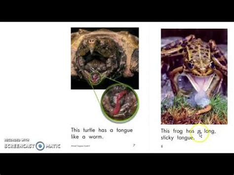 ANIMALS TONGUES 4 - YouTube