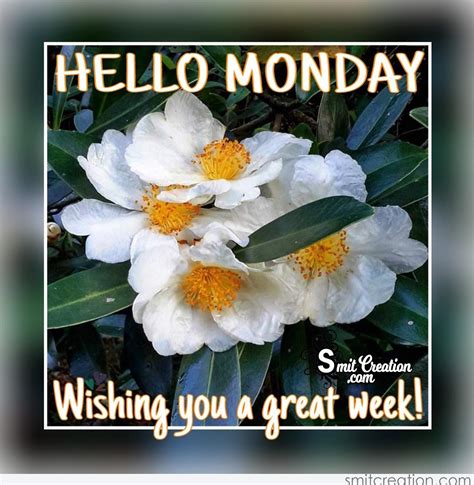 Hello Monday Wishing You A Great Week
