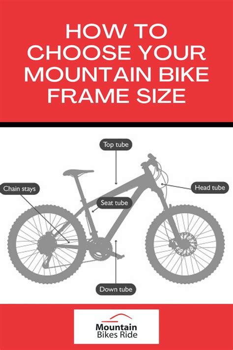 This Comprehensive Guide Will Assist You In Choosing The Right Frame