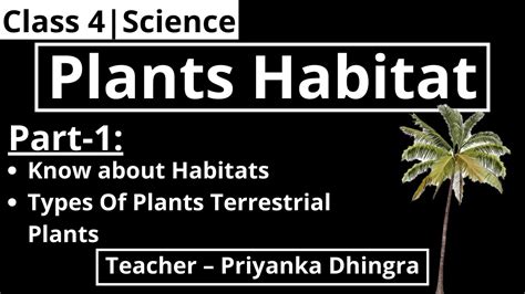 Class 4 Science Chapter 1 Plants Habitat Youtube