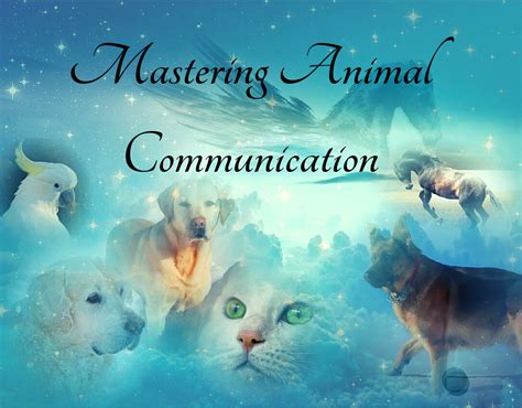 Mastering Animal Communication Animal Angel Academy