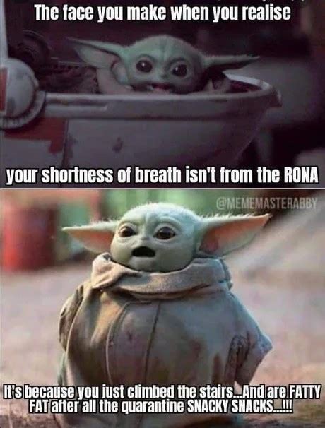 Baby yoda memes (and some mandalorian memes). New Baby Yoda memes: 50 funny pictures to boost your mood ...