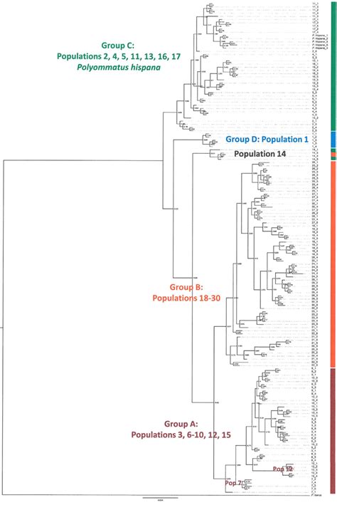 Bayesian Phylogeny Based On Concatenated Mtdna Coi Cr Of Thirty Download Scientific Diagram
