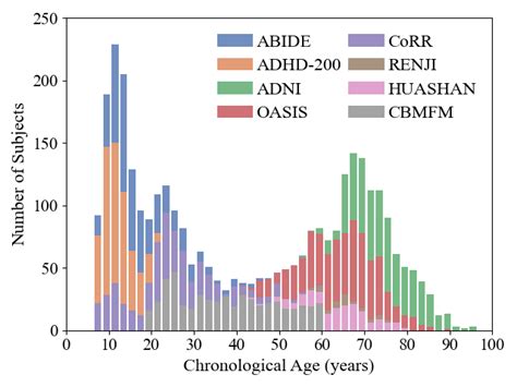 Github Zhaonann Brain Age Estimation From Smri Brain Age Estimation From Smri Based On Multi