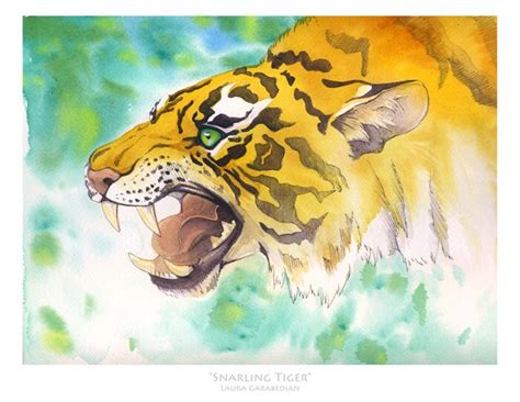 Snarling Tiger Giclee Print Of X Watercolor And Ink Etsy