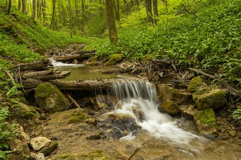 Photo Green Grass Creek Waterfall Free Pictures On Fonwall