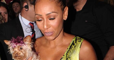 Mel B Calls Police To Ex Husband Stephen Belafontes Home After Daughter Failed To Answer Phone