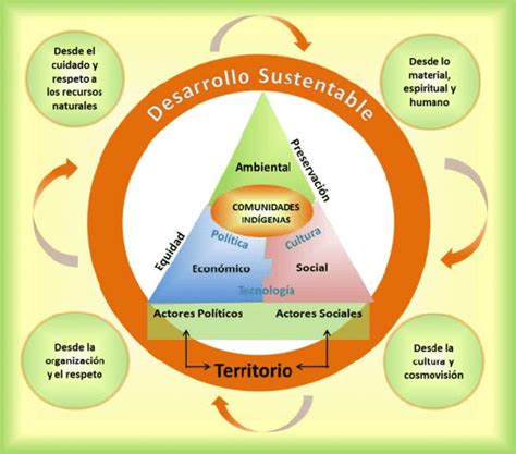 Las 3 Dimensiones De La Sustentabilidad Arbol