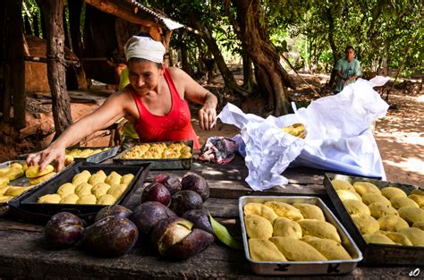 Over the years, paraguay women have managed to preserve their traditions and cultural identity. 6 Traditional Foods You Have to Try in Paraguay