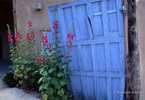 Hollyhocks And Blue Door Santa Fe New Mexico Randall K Roberts