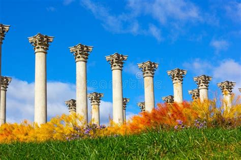 National Capitol Columns Surrounded By Autumn Flowers Stock Photo