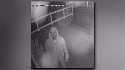 Peeping Tom Caught On Camera In Adelphi 10tv Com