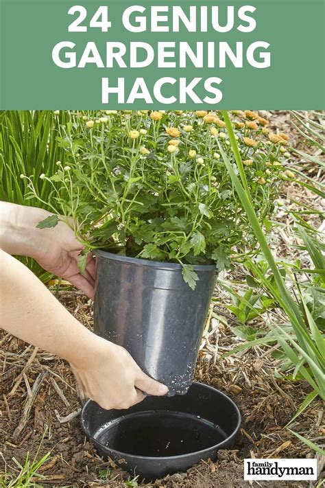 24 genius gardening hacks you ll be glad you know gardening tips easy gardening hacks garden