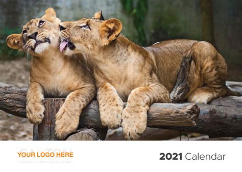 2021 Corporate A4 Calendar Wildlife By Caxton Flipsnack