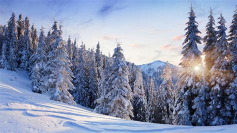 Winter 4k Ultra Hd Wallpaper And Background Image 3840x2160 Id 465340