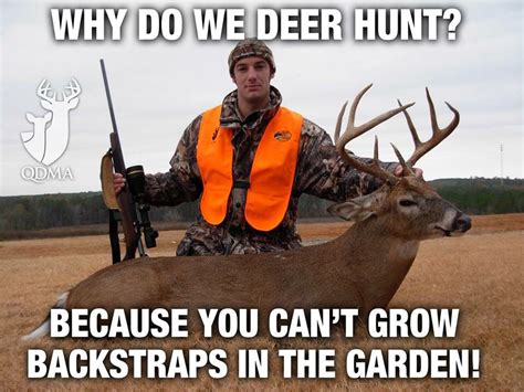 Funny Hunting Quotes Quotes