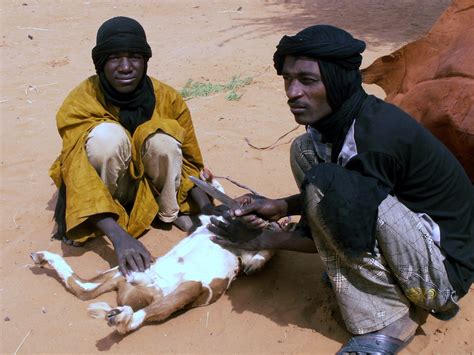 Niger Jan 09 Syydehaas Flickr