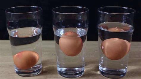 Comment savoir si un œuf est bon Découvrez ce quil faut faire La Recette Parfaite