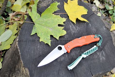 Folding Knife Stainless Steel Blade Autumn Leaves Garden Nature Stock