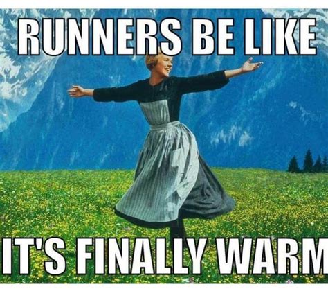 Pin By Lisa B On Exercise Mostly Running Running Memes Running