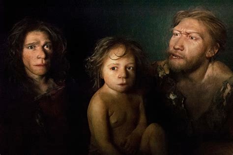 neanderthal dna linked to higher fertility in modern humans new scientist