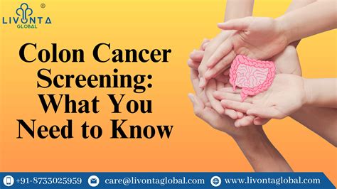 Colon Cancer Screening What You Need To Know Livonta Global Pvt Ltd