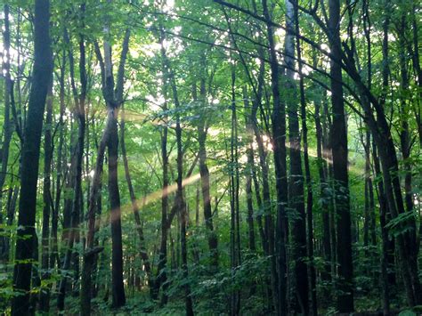The light Is Breaking Through - Designing Transformation Productions