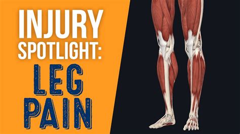 Injury Spotlight Leg Pain Youtube