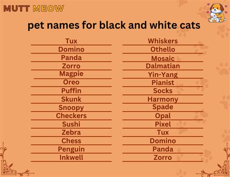 Pet Names For Black And White Cats Mutt Meow